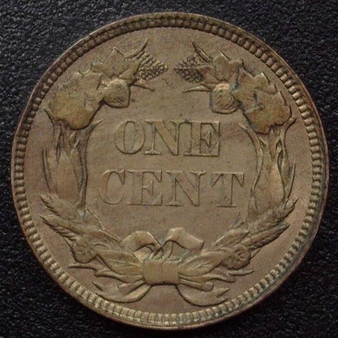 What-Do-You-Think-About-This-NNC-Graded-1857-Flying-Eagle-Cent?